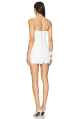 Brias Mini Dress